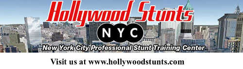 Hollywood Stunts